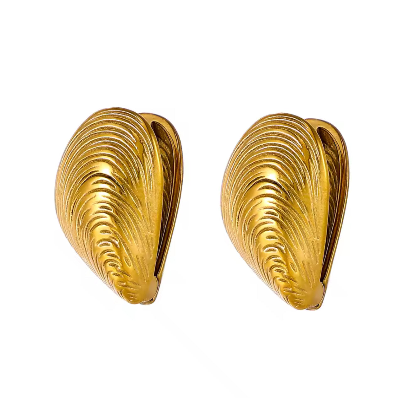 ORO CONCHA EARRINGS